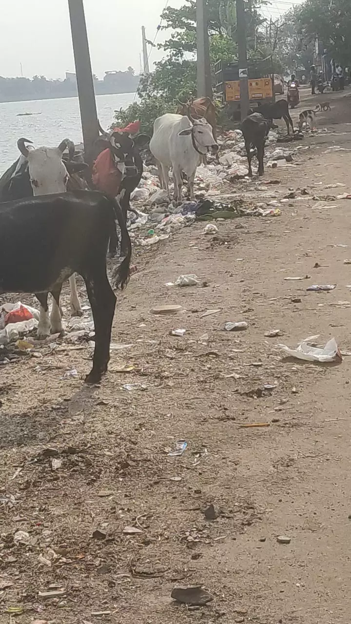 குப்பை தொட்டி வேண்டும் குப்பை தொட்டி வேண்டும்