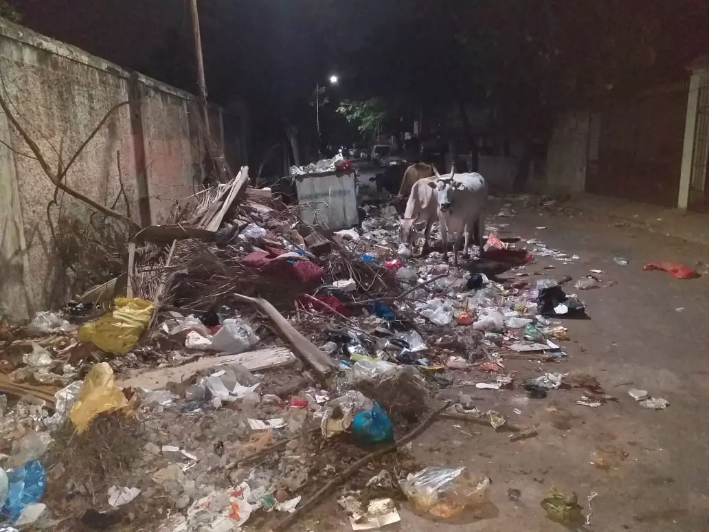 சாலையில் குவியும் குப்பைகள் சாலையில் குவியும் குப்பைகள்