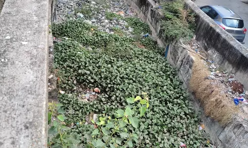 தூர்வாரப்படாத கால்வாய்