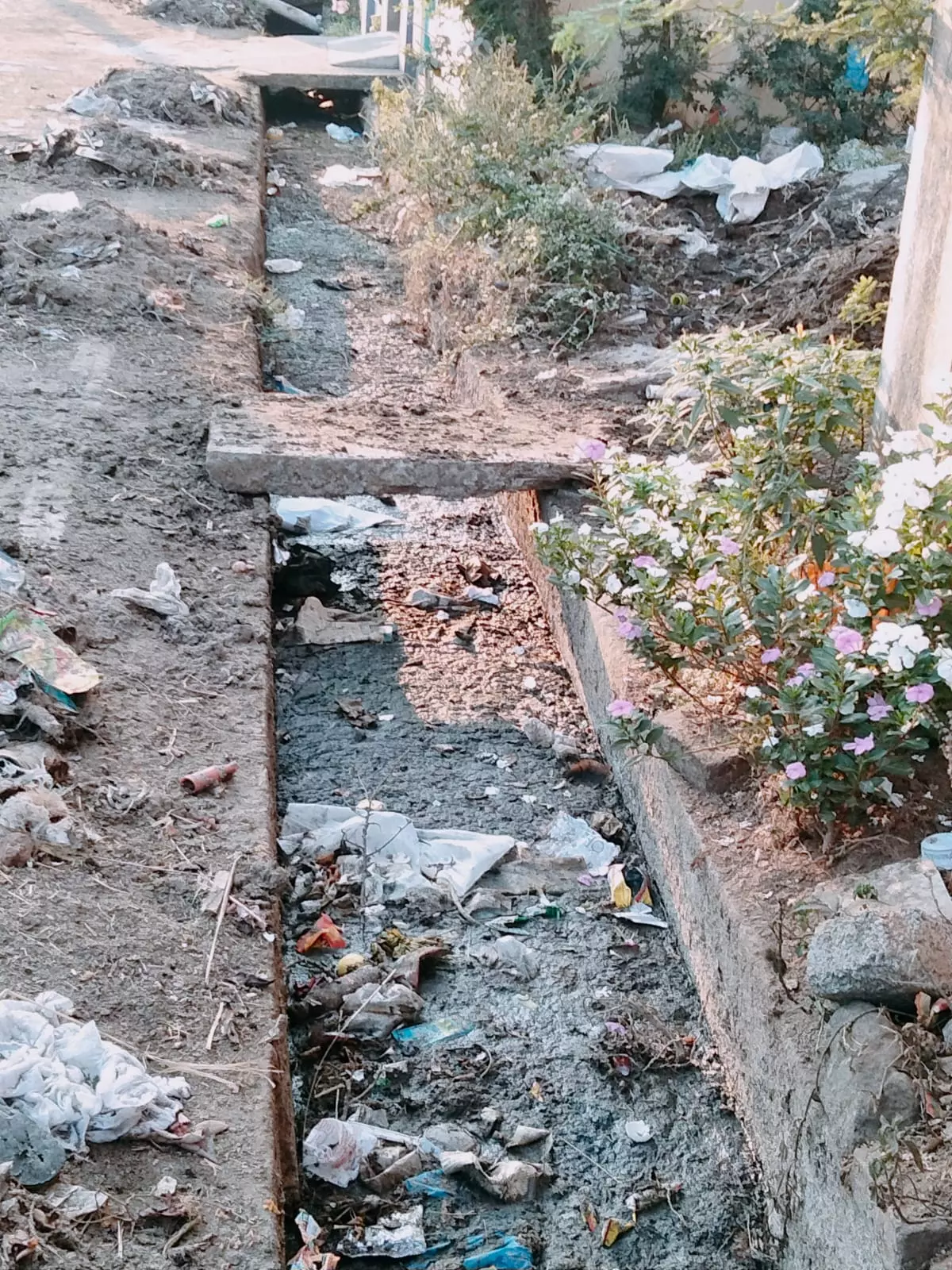 குப்பைகள் அடைத்த கால்வாய்