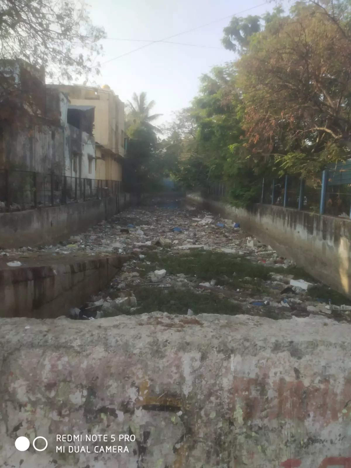 தூர்வாரப்படாத கால்வாய் தூர்வாரப்படாத கால்வாய்