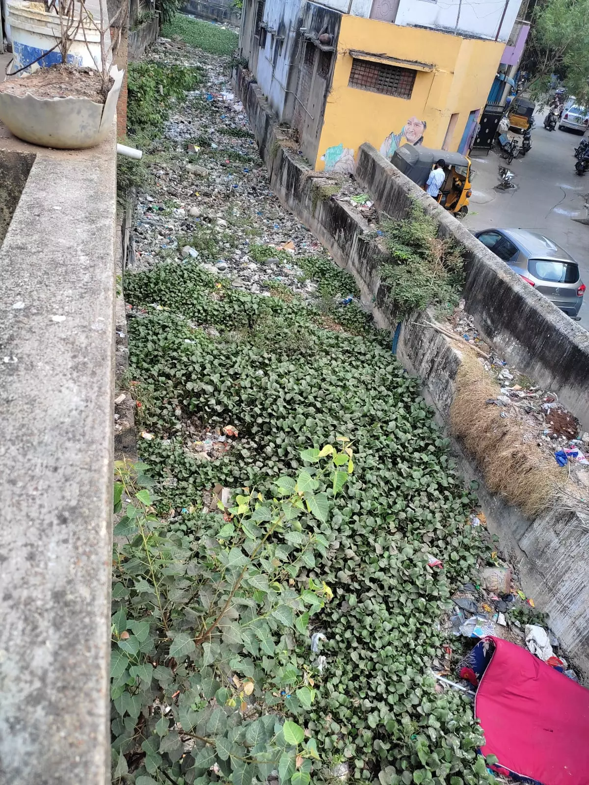 தூர்வாரப்படாத கால்வாய் தூர்வாரப்படாத கால்வாய்