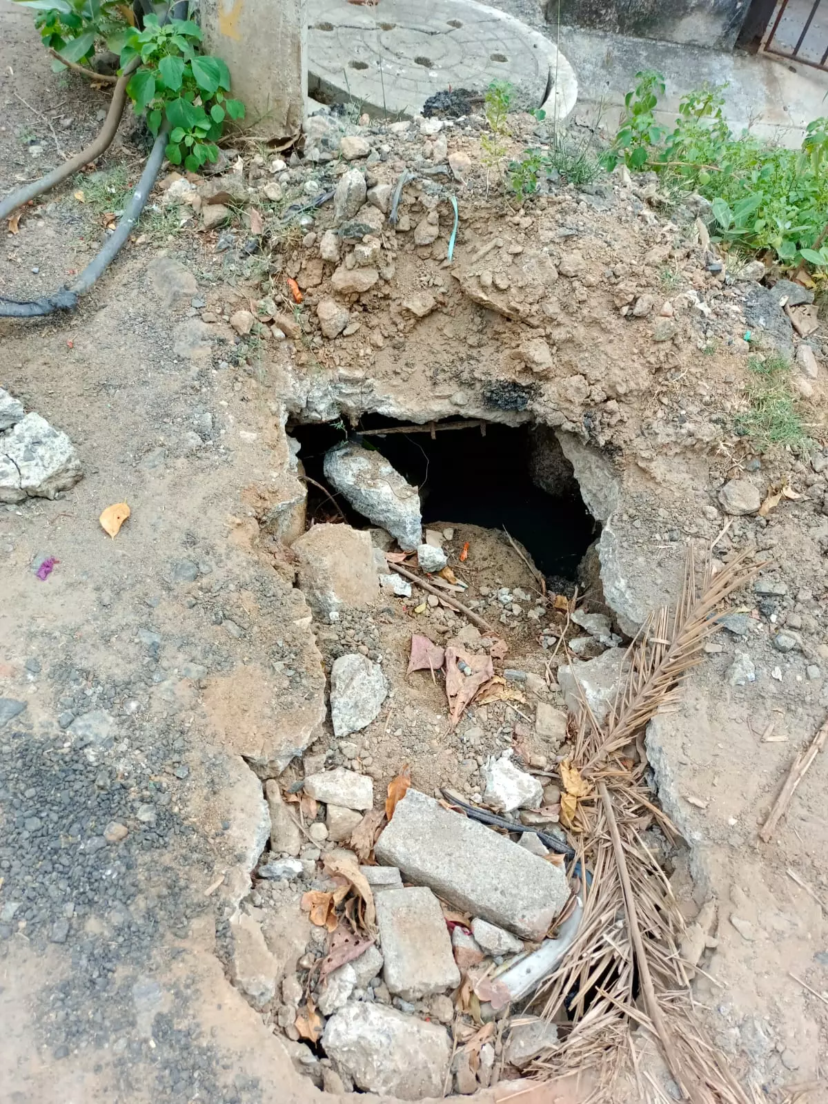 நடவடிக்கை எடுப்பார்களா? நடவடிக்கை எடுப்பார்களா?