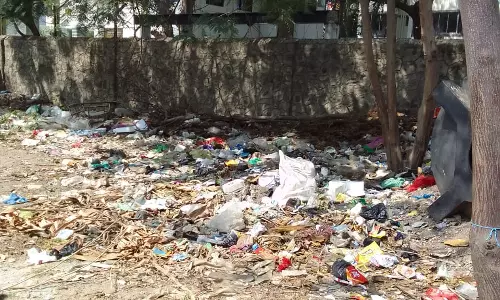 அகற்றப்படாத குப்பைகள் அகற்றப்படாத குப்பைகள்