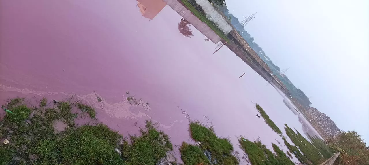 ஏரியின் நிறம் மாறியது என்ன? ஏரியின் நிறம் மாறியது என்ன?