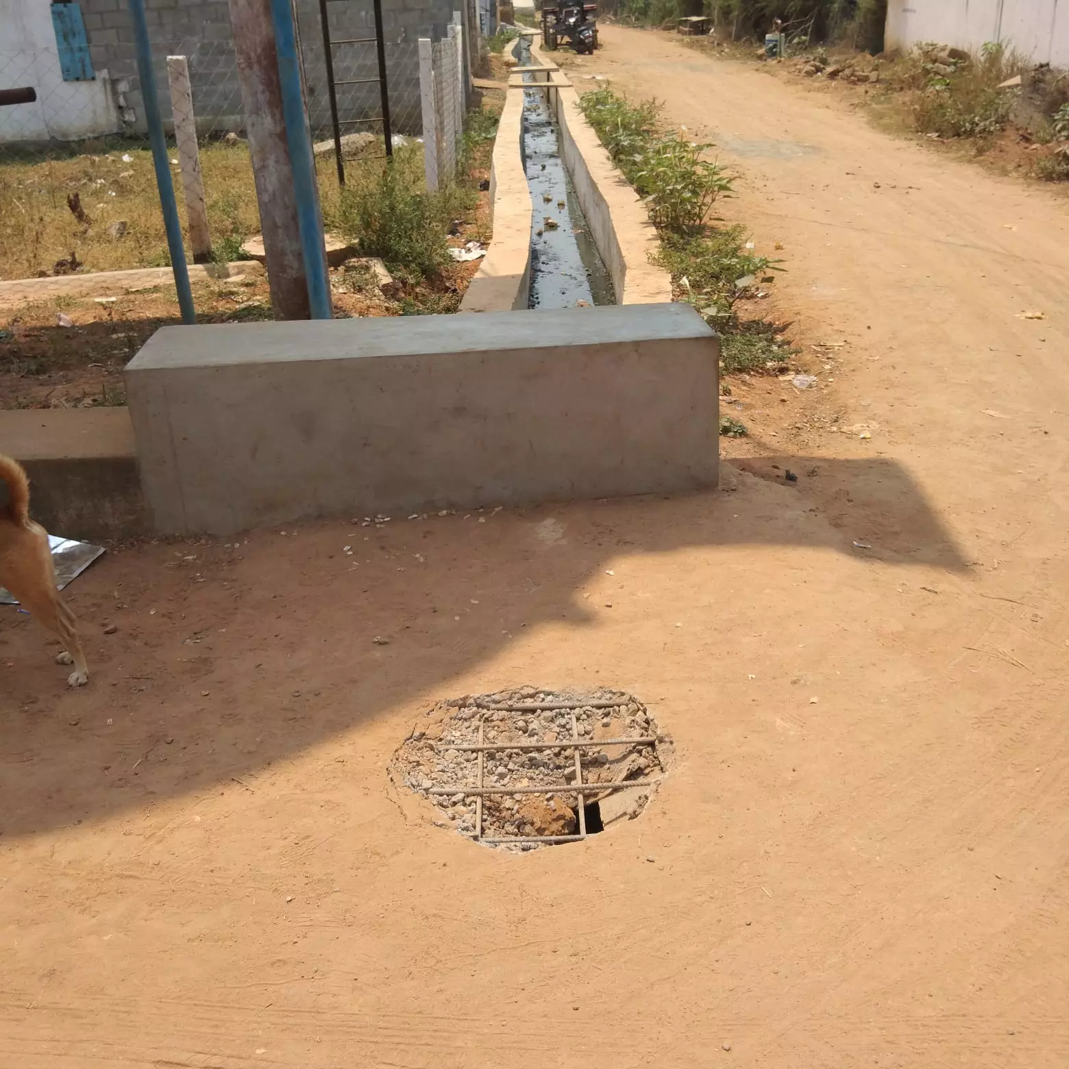 நடவடிக்கை எடுக்கப்படுமா? நடவடிக்கை எடுக்கப்படுமா?