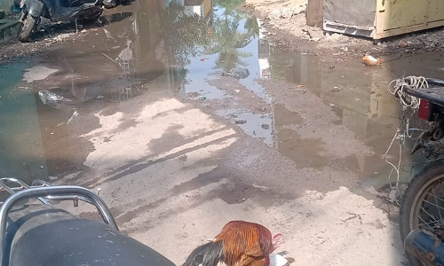 தெருமக்களின் கோரிக்கை