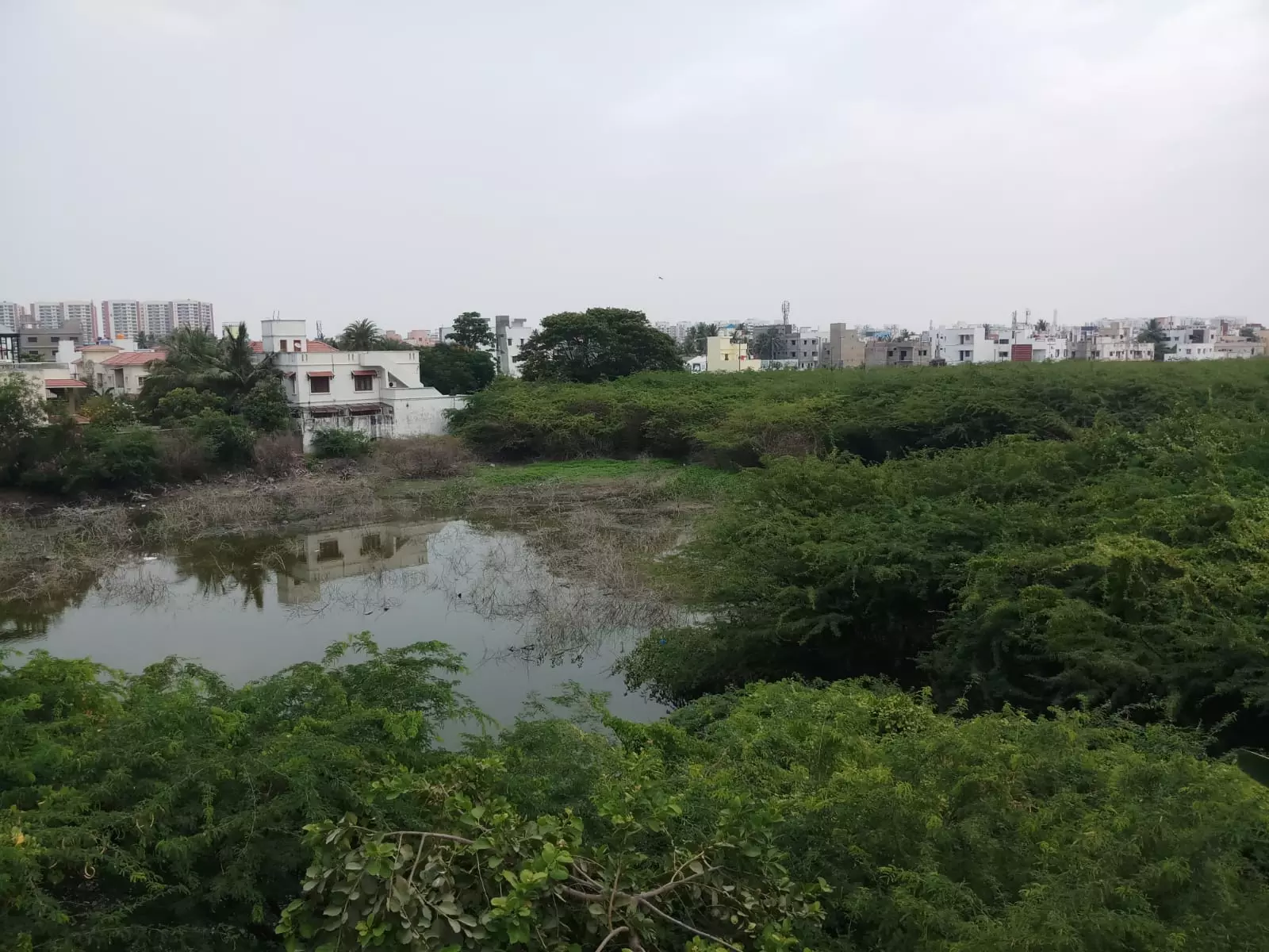 முள்செடிகள் அகற்றப்படுமா?