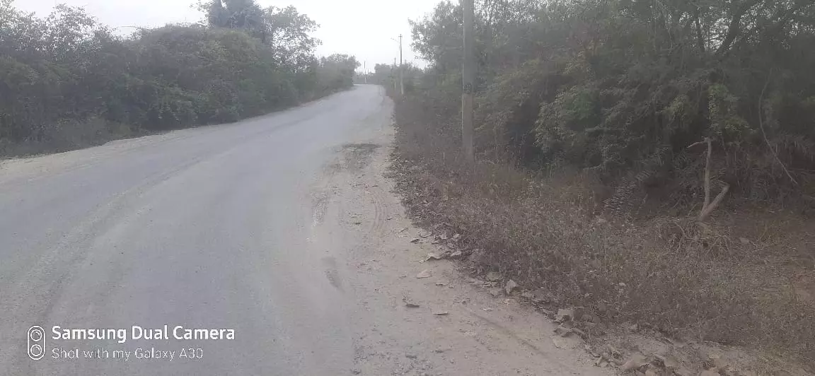 வேகத்தடை ஏற்படுத்தி தரப்படுமா? வேகத்தடை ஏற்படுத்தி தரப்படுமா?