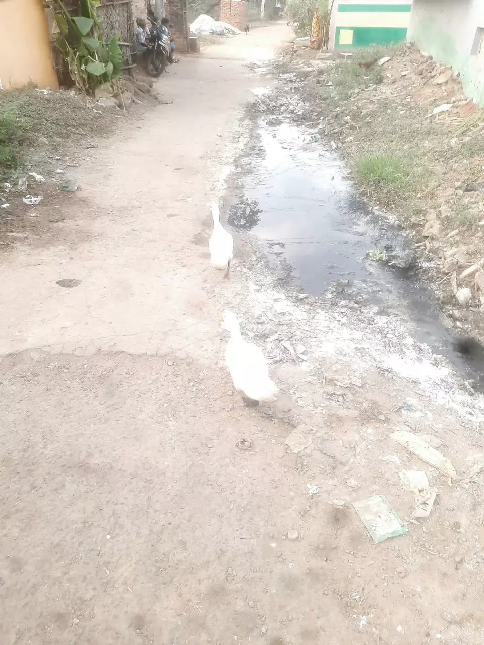 சாலையில் தேங்கும் கழிவுநீர் சாலையில் தேங்கும் கழிவுநீர்