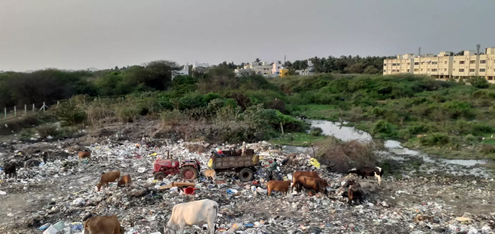 பராமரிபின்றி இருக்கும் அங்கன்வாடி பராமரிபின்றி இருக்கும் அங்கன்வாடி