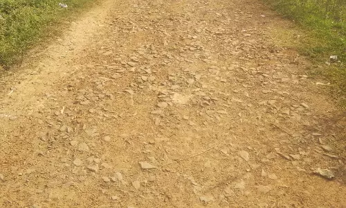 சாலை வசதி வேண்டும் சாலை வசதி வேண்டும்