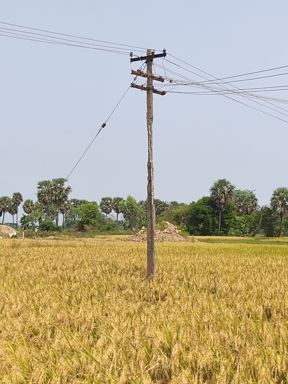 பழுதடைந்த மின்கம்பம் பழுதடைந்த மின்கம்பம்