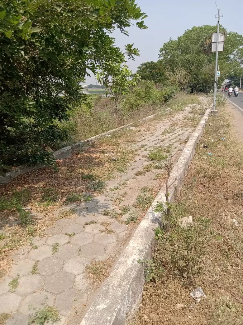 நடைமேடையை ஆக்கிரமிக்கும் செடி கொடிகள் நடைமேடையை ஆக்கிரமிக்கும் செடி கொடிகள்