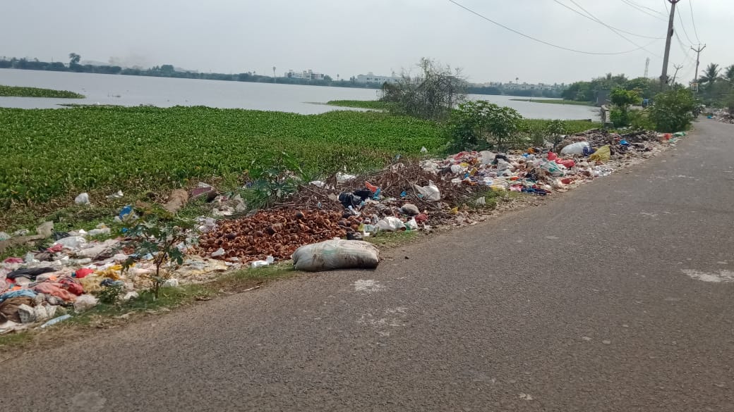 காய்கறி கழிவுகளால் துர்நாற்றம்