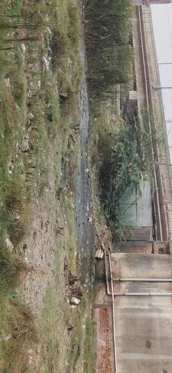 நிரந்தர தீர்வு வேண்டும் நிரந்தர தீர்வு வேண்டும்