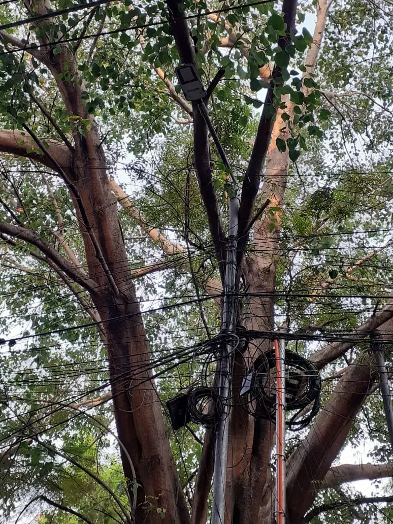 ஆபத்தான நிலையில் மின்கம்பம் ஆபத்தான நிலையில் மின்கம்பம்