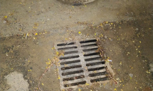 நடவடிக்கை எடுக்க வேண்டும்