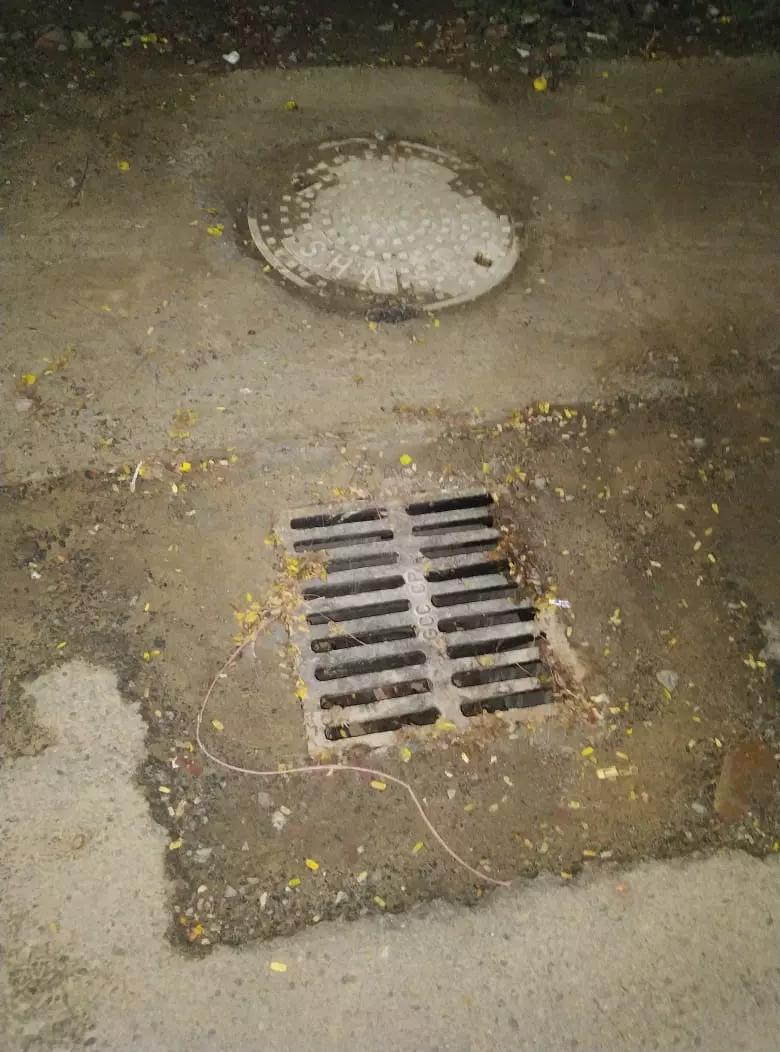 நடவடிக்கை எடுக்க வேண்டும் நடவடிக்கை எடுக்க வேண்டும்