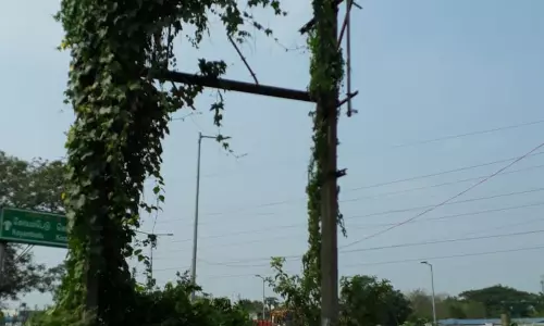 பராமரிப்பில்லாத டிரான்ஸ்பார்மர் பராமரிப்பில்லாத டிரான்ஸ்பார்மர்