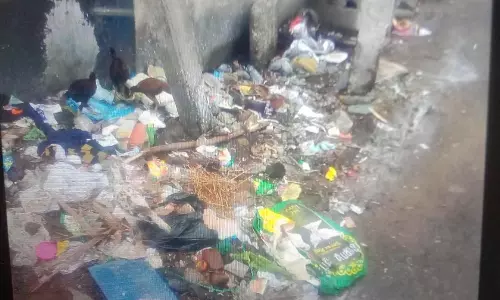 குப்பைகளும் அலங்கோலமும் குப்பைகளும் அலங்கோலமும்