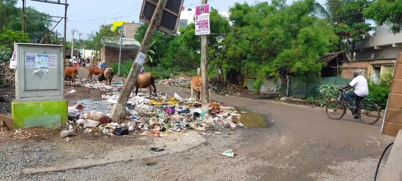 சாலை ஓரத்தில் குவிந்திருக்கும் குப்பைகள் சாலை ஓரத்தில் குவிந்திருக்கும் குப்பைகள்