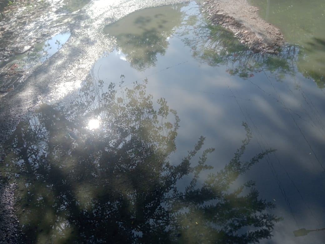 தேங்கும் கழிவுநீரால் அவதி தேங்கும் கழிவுநீரால் அவதி