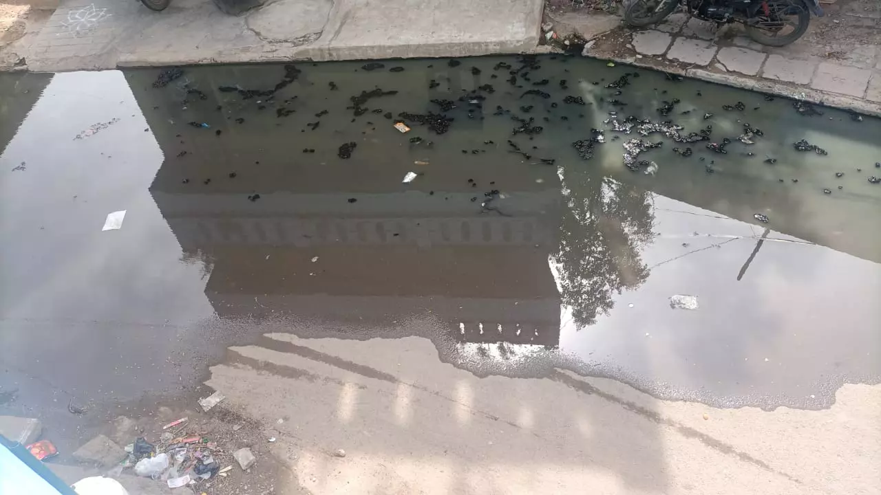 தேங்கியிருக்கும் கழிவுநீர் தேங்கியிருக்கும் கழிவுநீர்