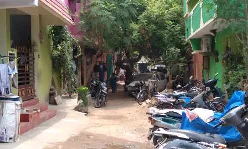 போக்குவரத்தை தடை செய்யும் மரம்