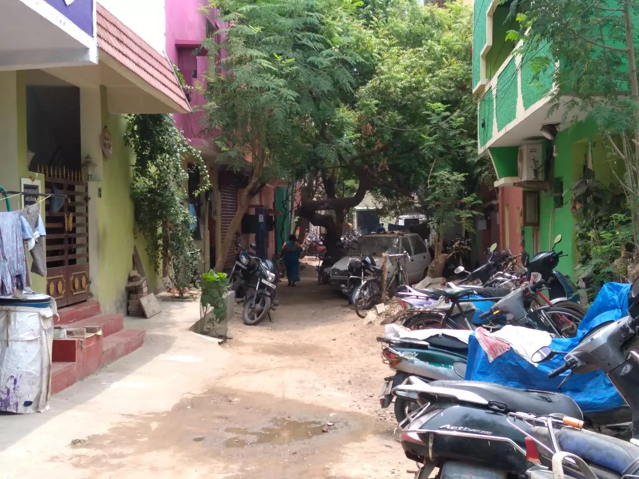 போக்குவரத்தை தடை செய்யும் மரம் போக்குவரத்தை தடை செய்யும் மரம்