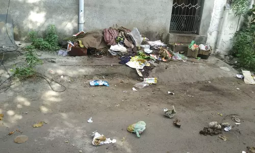 தெருவெல்லாம் குப்பைகள்