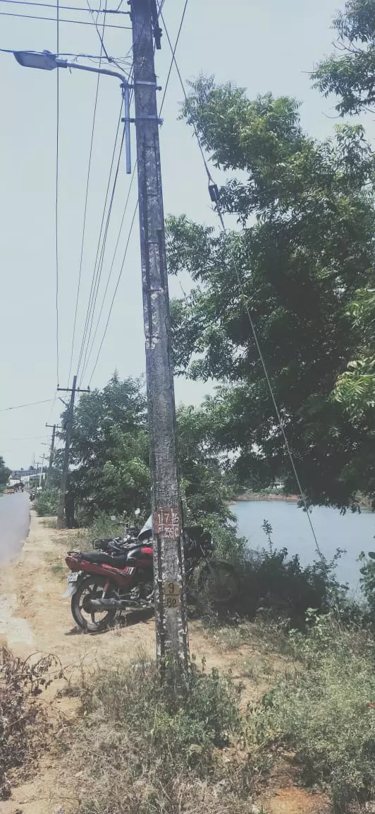 நடவடிக்கை எடுக்க வேண்டும்