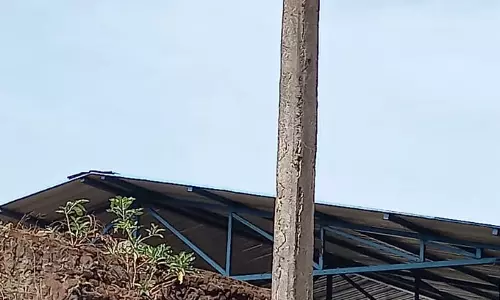 சேதமடைந்த மின்கம்பம் சேதமடைந்த மின்கம்பம்