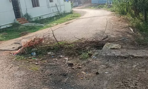 பழுதடைந்த பாலம் சரி செய்யப்படுமா?