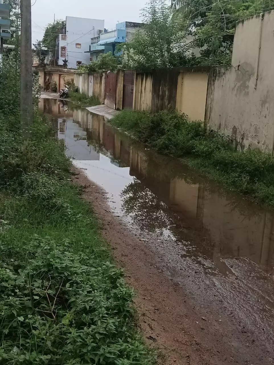 மழைநீர் தேக்கமும்; நோய் தொற்றும் மழைநீர் தேக்கமும்; நோய் தொற்றும்