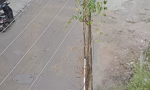 அடிக்கடி பழுதாகும் மின் விளக்கு