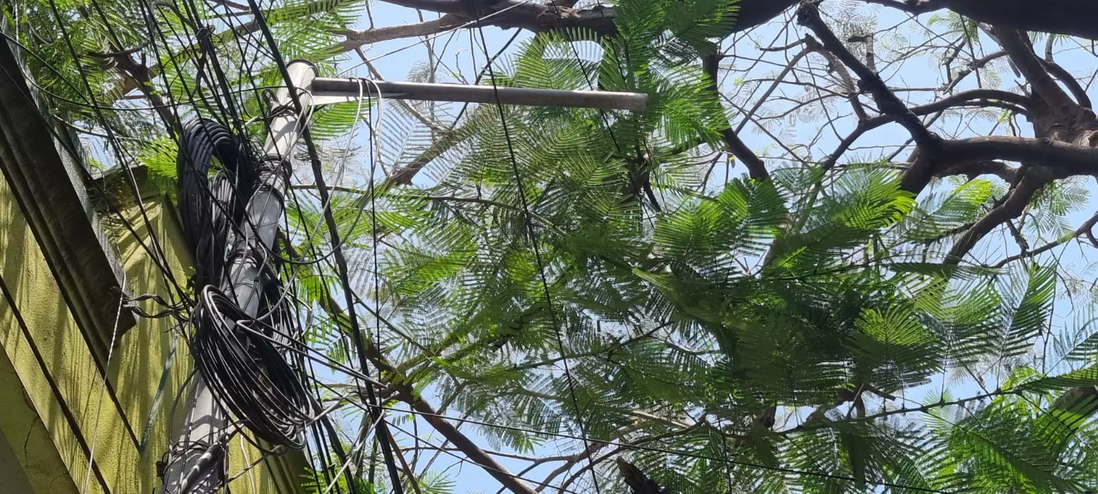 சூளைமேடு சூளைமேடு