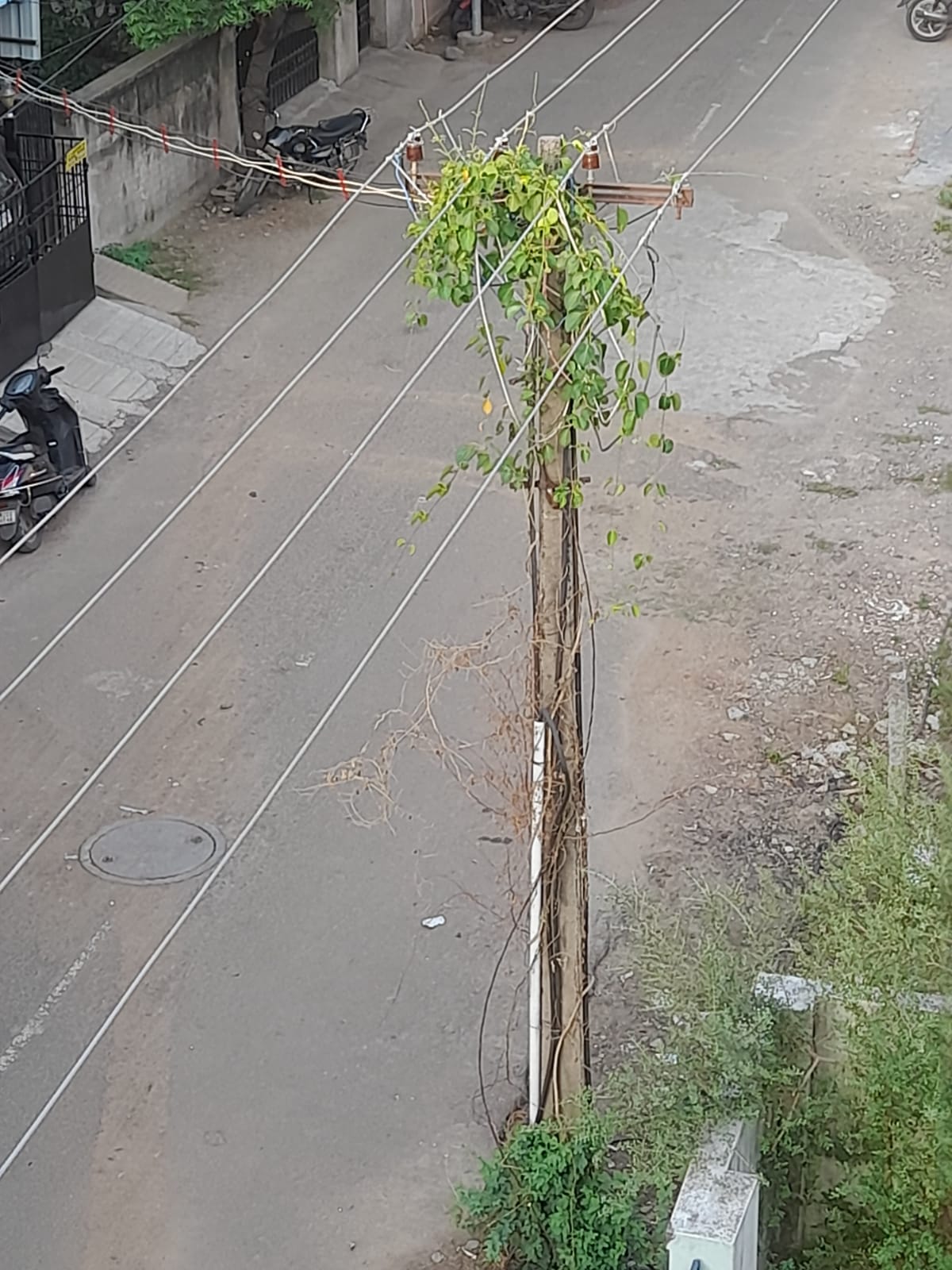 உடனடி தீர்வு உடனடி தீர்வு