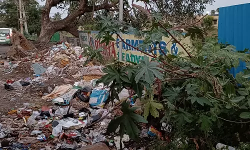 குவியும் குப்பைகள் குவியும் குப்பைகள்