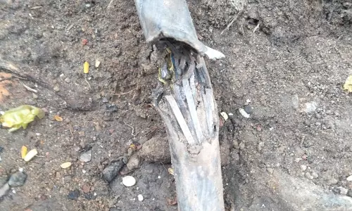 சேதமடைந்த மின்சார கேபிள் சேதமடைந்த மின்சார கேபிள்