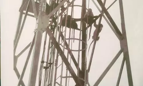 குரங்குகள் அட்டூழியம் குரங்குகள் அட்டூழியம்