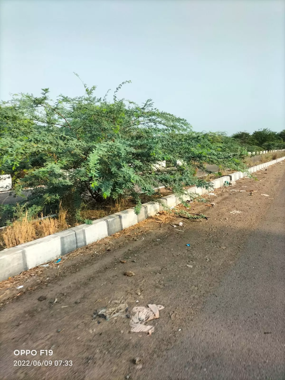 தீர்வு கிடைக்குமா? தீர்வு கிடைக்குமா?