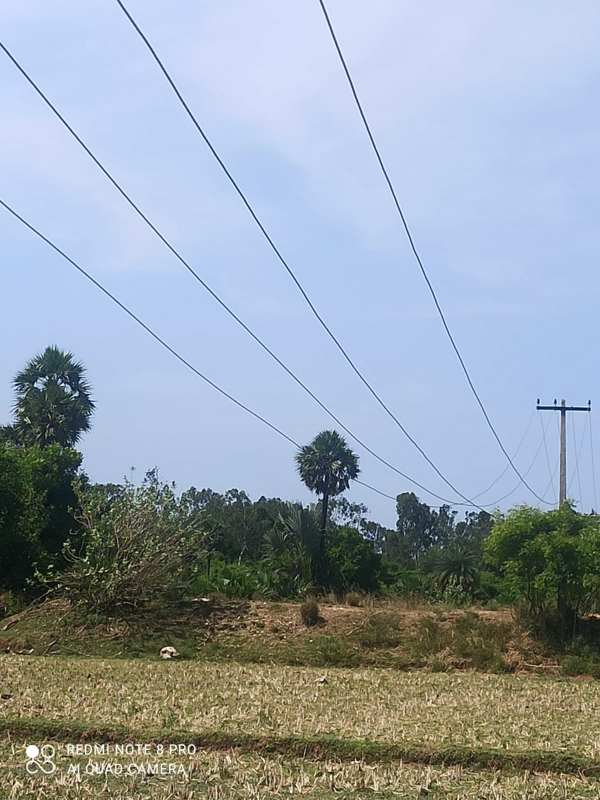 பிரச்சினைக்கு தீர்வு என்னவோ! பிரச்சினைக்கு தீர்வு என்னவோ!