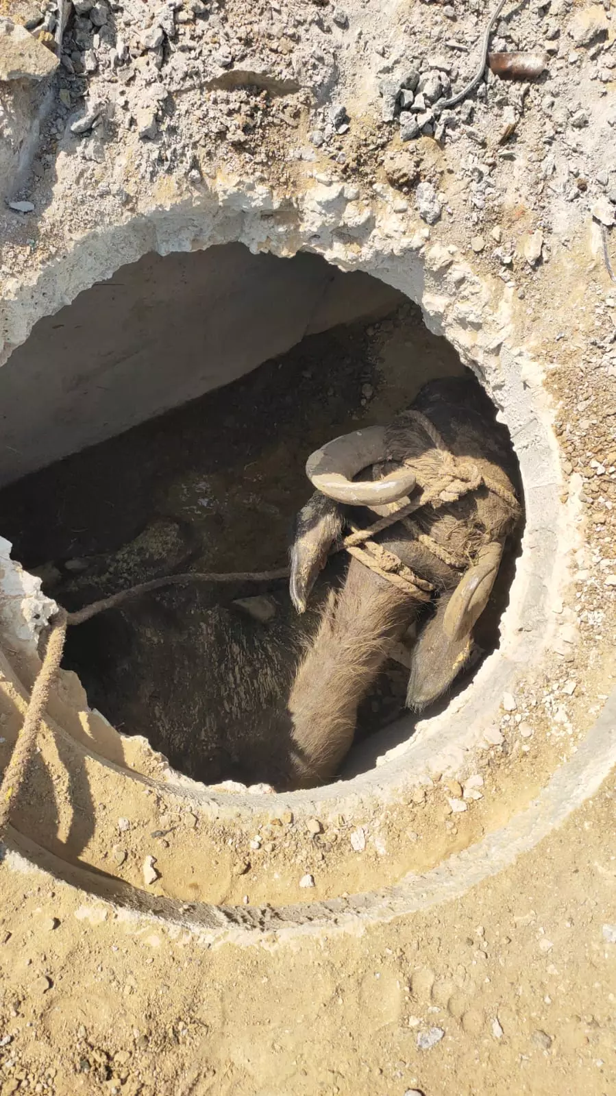 பாதியில் நின்ற பணியால் அவதி பாதியில் நின்ற பணியால் அவதி