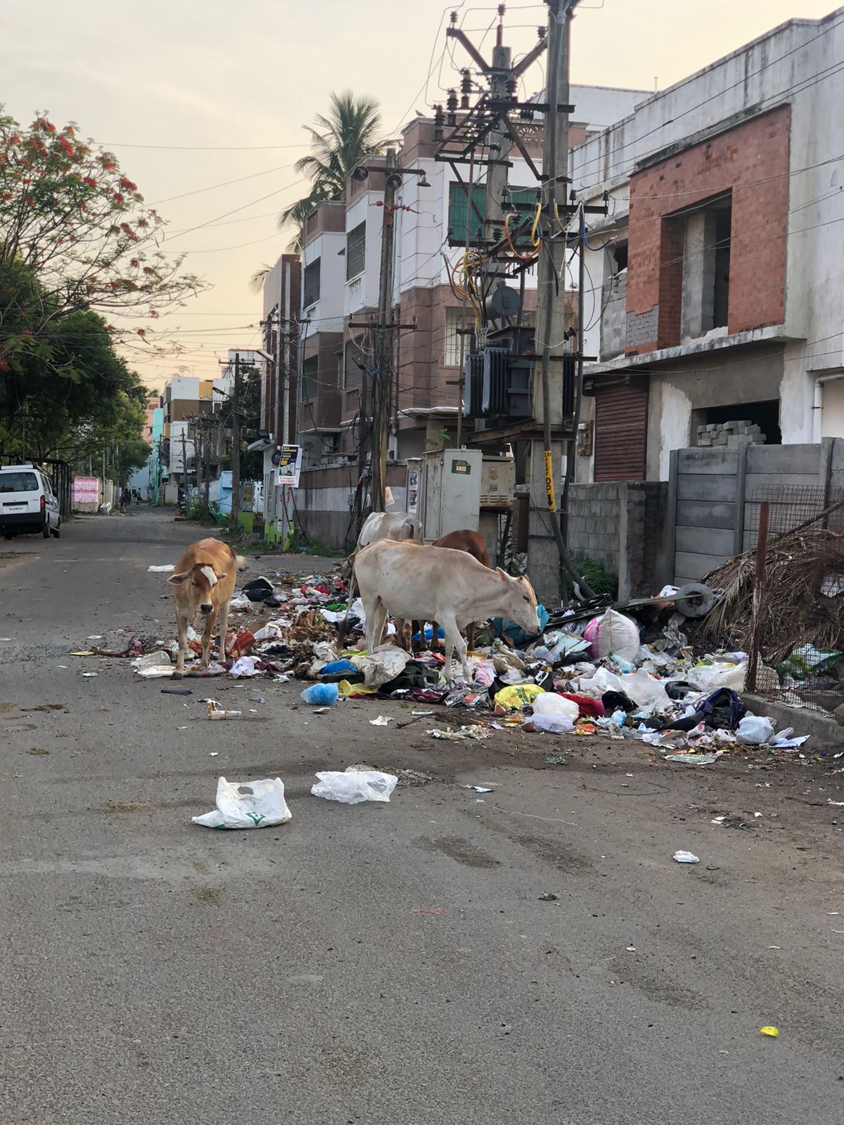 குப்பைகளால் அலங்கோலமாகும் சாலை குப்பைகளால் அலங்கோலமாகும் சாலை