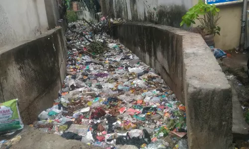 குப்பைகள் அகற்றப்படுமா?