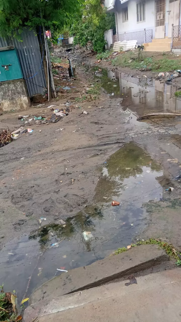 நடந்து செல்ல பாதை எங்கே? நடந்து செல்ல பாதை எங்கே?