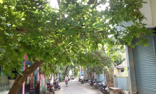 அசம்பாவிதம் தடுக்கப்படுமா?