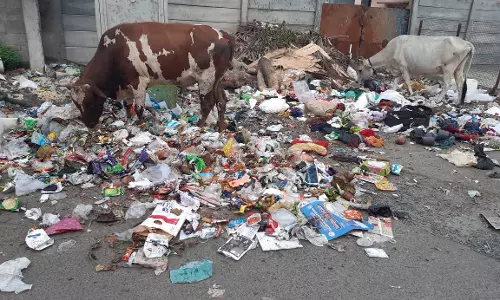 குப்பைகளும் அலங்கோலமும்