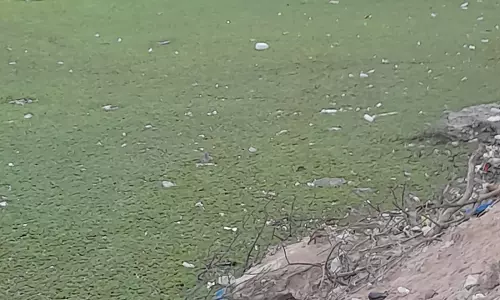 குளம் தூர்வாரப்படுமா?